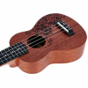harley_benton_kahuna-s_flower-6