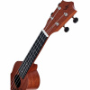 harley_benton_kahuna-s_flower-7