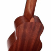 harley_benton_kahuna-s_flower-8
